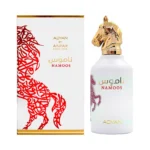 Perfume Adyan Namoos EDP 100ml - Masculino