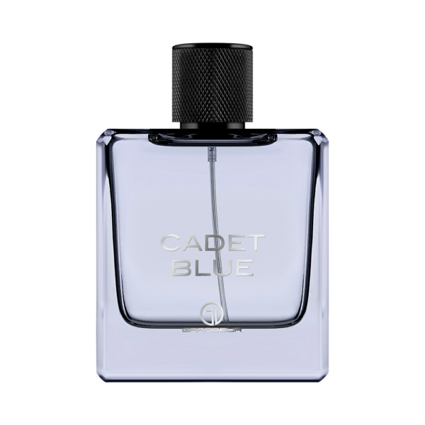 Perfume Grandeur Elite Cadet Blue EDP 100ml - Masculino - Imagen 2
