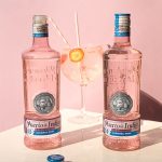 Gin Sin Alcohol Puerto de Indias Strawberry 700ml - Imagen 2